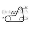 CONTITECH 6PK1042 ELAST V-Ribbed Belts